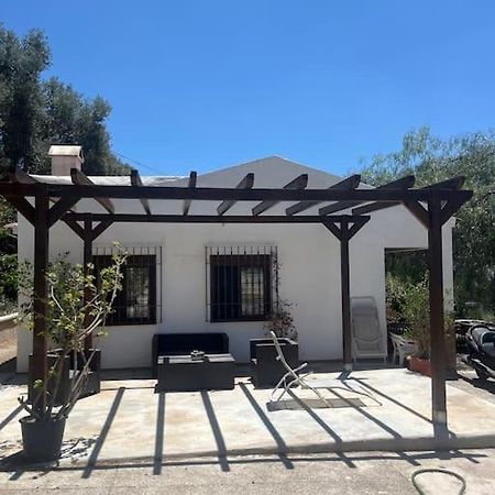 Farmhouse Surrounded By Centenary Olive Trees Olias ภายนอก รูปภาพ