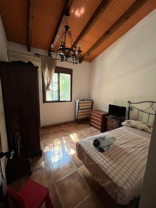 Farmhouse Surrounded By Centenary Olive Trees Olias ภายนอก รูปภาพ