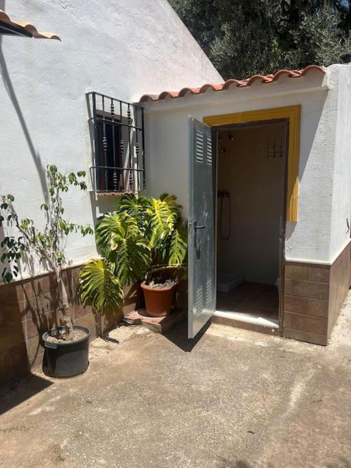 Farmhouse Surrounded By Centenary Olive Trees Olias ภายนอก รูปภาพ